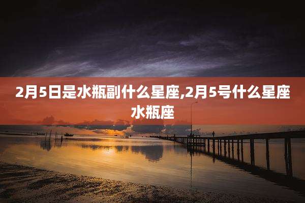 2月5日是水瓶副什么星座,2月5号什么星座水瓶座