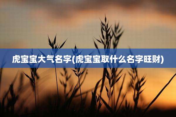 虎宝宝大气名字(虎宝宝取什么名字旺财)