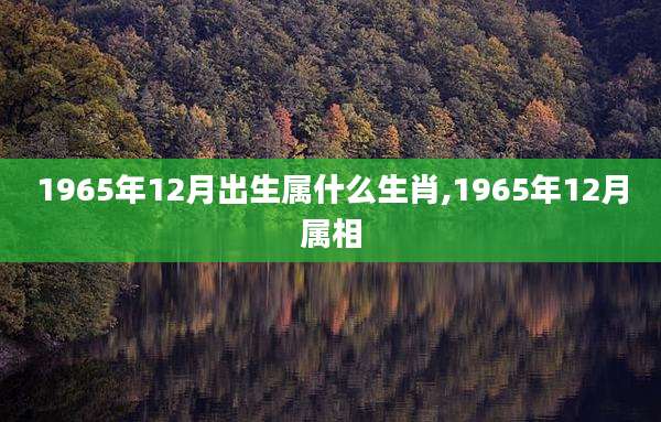 1965年12月出生属什么生肖,1965年12月属相