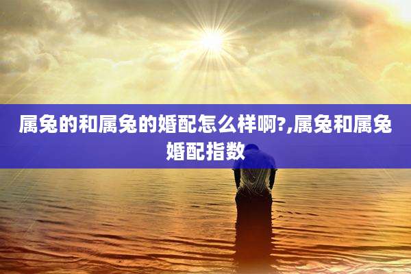 属兔的和属兔的婚配怎么样啊?,属兔和属兔婚配指数