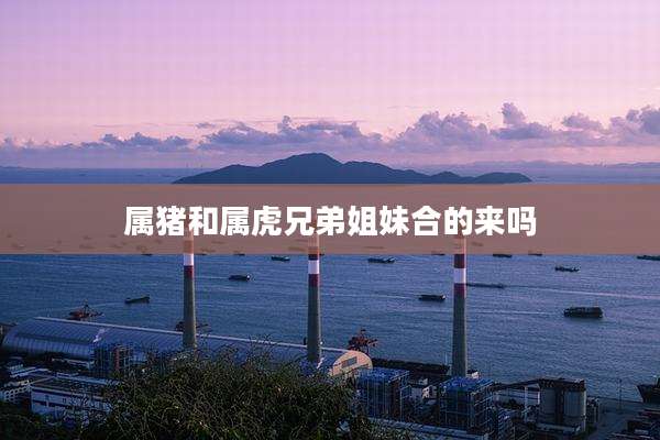 属猪和属虎兄弟姐妹合的来吗