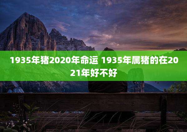 1935年猪2020年命运 1935年属猪的在2021年好不好