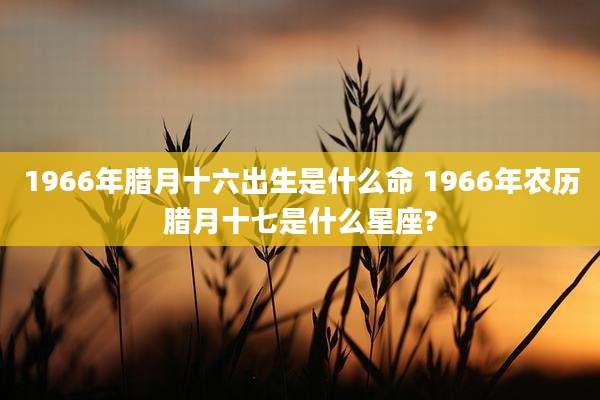 1966年腊月十六出生是什么命 1966年农历腊月十七是什么星座?