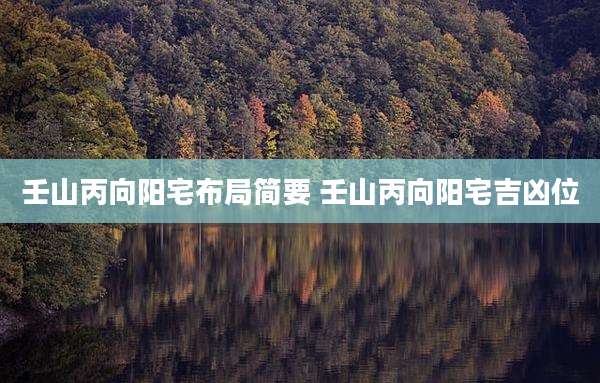 壬山丙向阳宅布局简要 壬山丙向阳宅吉凶位