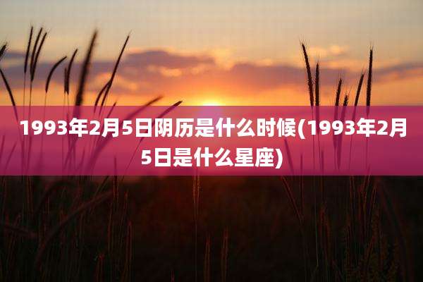 1993年2月5日阴历是什么时候(1993年2月5日是什么星座)