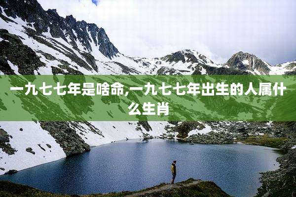 一九七七年是啥命,一九七七年出生的人属什么生肖