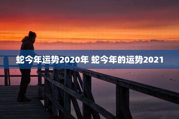 蛇今年运势2020年 蛇今年的运势2021