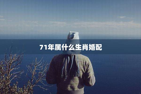71年属什么生肖婚配