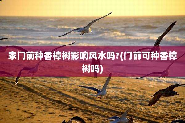 家门前种香樟树影响风水吗?(门前可种香樟树吗)