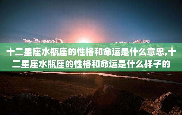 十二星座水瓶座的性格和命运是什么意思,十二星座水瓶座的性格和命运是什么样子的