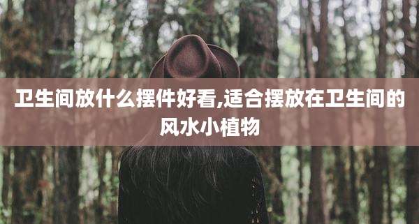 卫生间放什么摆件好看,适合摆放在卫生间的风水小植物