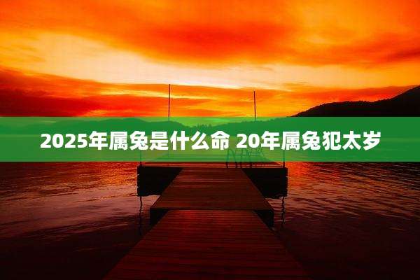 2025年属兔是什么命 20年属兔犯太岁