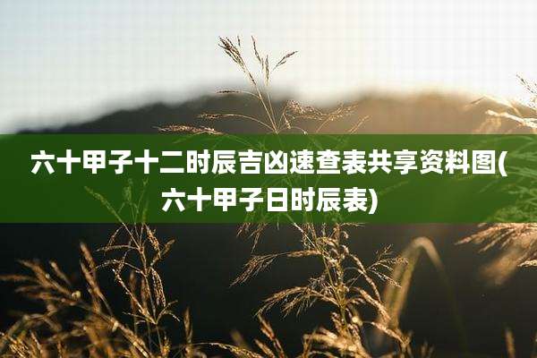 六十甲子十二时辰吉凶速查表共享资料图(六十甲子日时辰表)