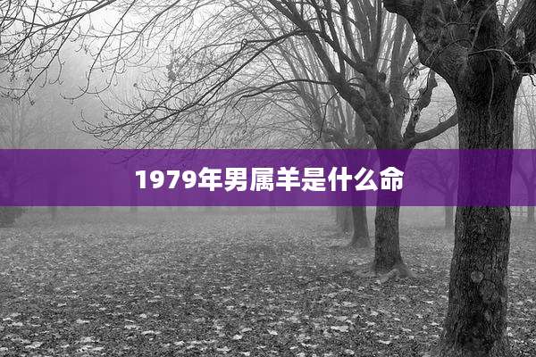 1979年男属羊是什么命