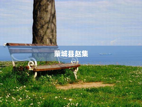 蒙城县赵集
