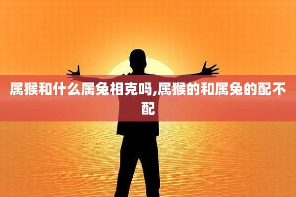 属猴和什么属兔相克吗,属猴的和属兔的配不配