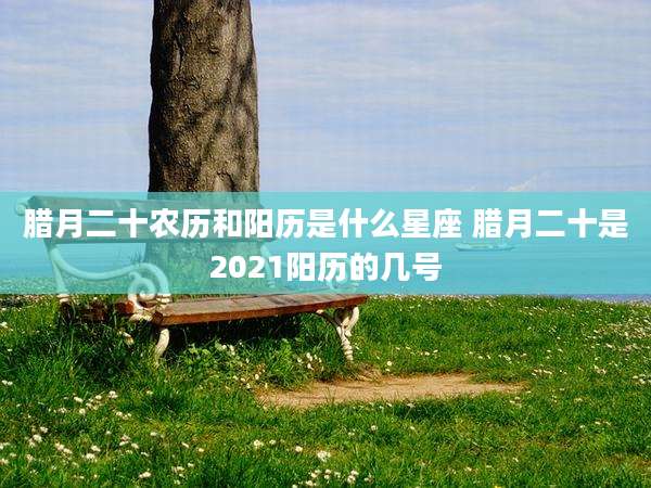 腊月二十农历和阳历是什么星座 腊月二十是2021阳历的几号