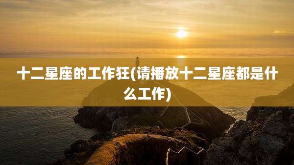 十二星座的工作狂(请播放十二星座都是什么工作)