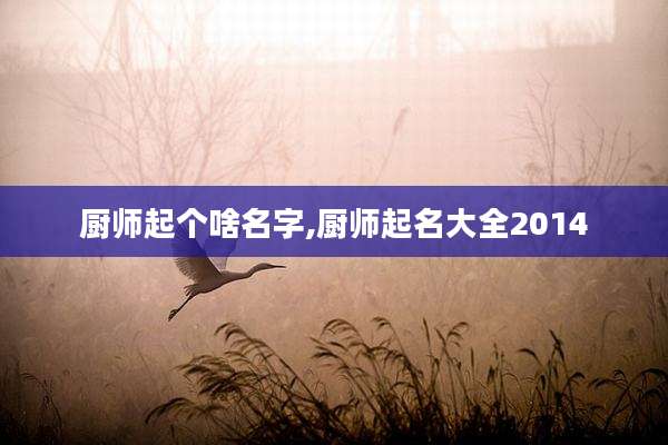 厨师起个啥名字,厨师起名大全2014