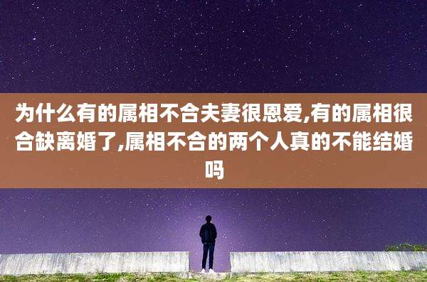 为什么有的属相不合夫妻很恩爱,有的属相很合缺离婚了,属相不合的两个人真的不能结婚吗