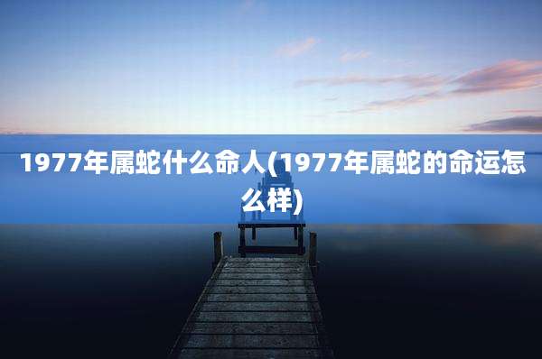 1977年属蛇什么命人(1977年属蛇的命运怎么样)