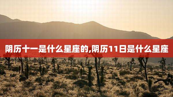 阴历十一是什么星座的,阴历11日是什么星座