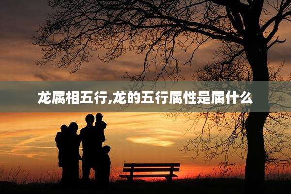 龙属相五行,龙的五行属性是属什么