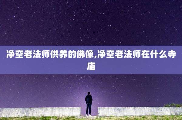 净空老法师供养的佛像,净空老法师在什么寺庙
