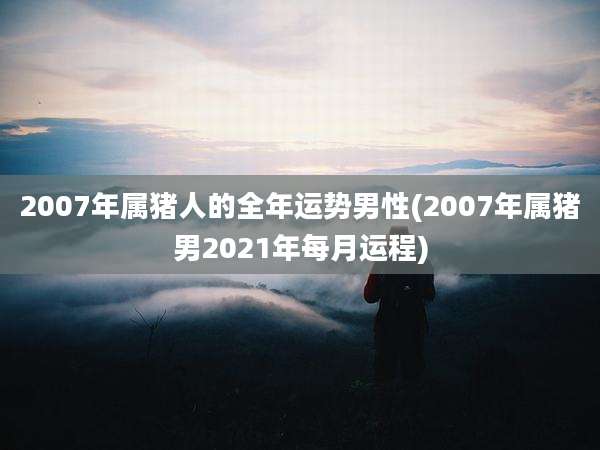 2007年属猪人的全年运势男性(2007年属猪男2021年每月运程)