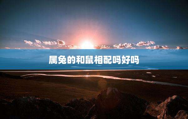 属兔的和鼠相配吗好吗