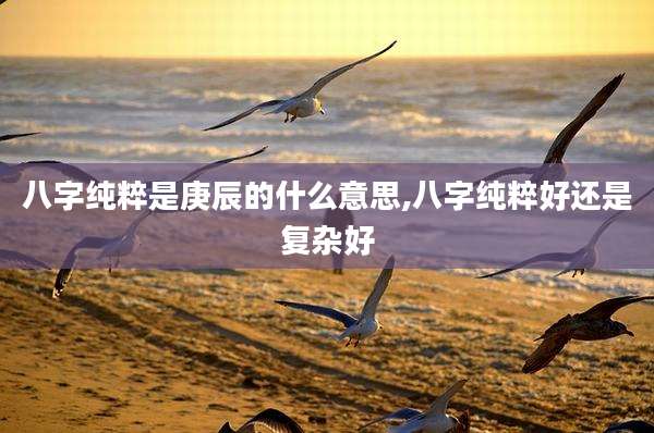 八字纯粹是庚辰的什么意思,八字纯粹好还是复杂好