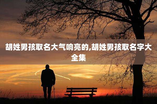 胡姓男孩取名大气响亮的,胡姓男孩取名字大全集