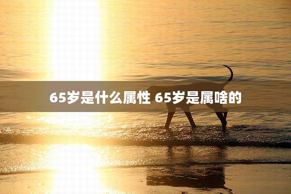 65岁是什么属性 65岁是属啥的