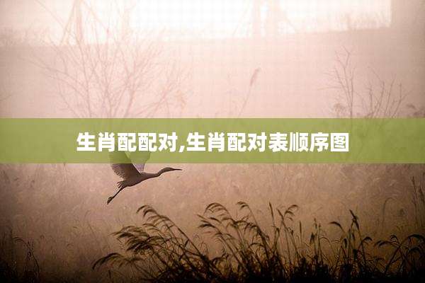 生肖配配对,生肖配对表顺序图