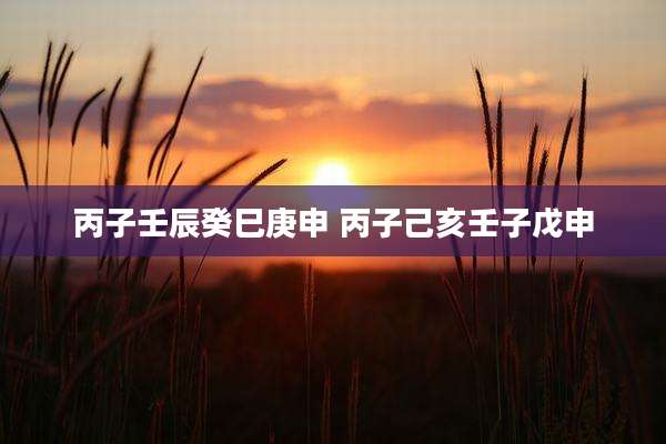丙子壬辰癸巳庚申 丙子己亥壬子戊申