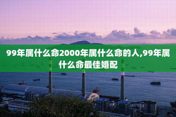 99年属什么命2000年属什么命的人,99年属什么命最佳婚配