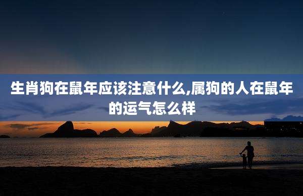 生肖狗在鼠年应该注意什么,属狗的人在鼠年的运气怎么样
