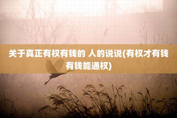 关于真正有权有钱的 人的说说(有权才有钱有钱能通权)
