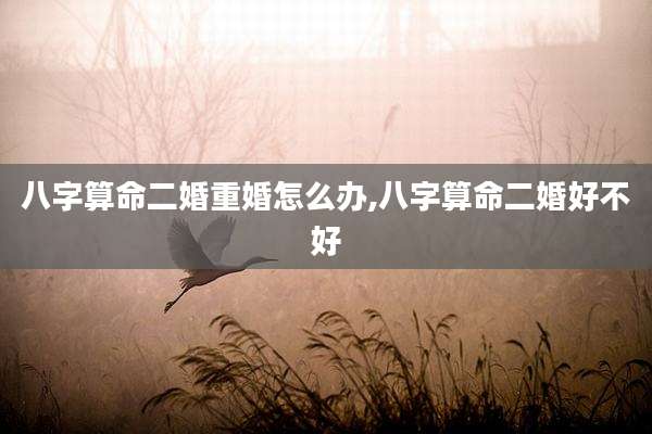 八字算命二婚重婚怎么办,八字算命二婚好不好