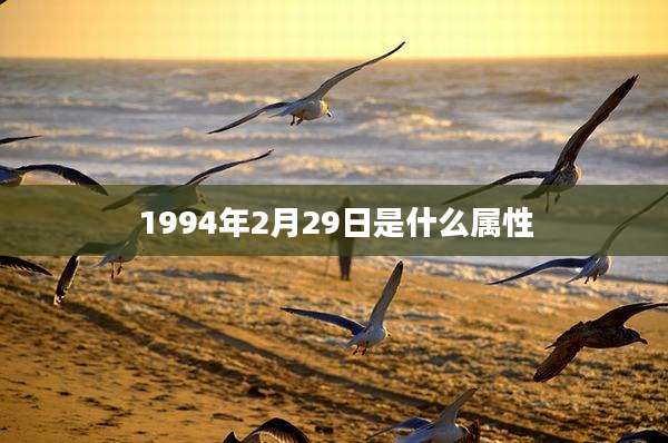 1994年2月29日是什么属性