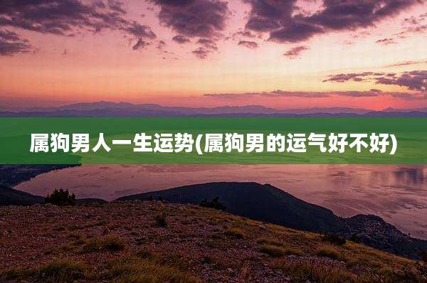 属狗男人一生运势(属狗男的运气好不好)