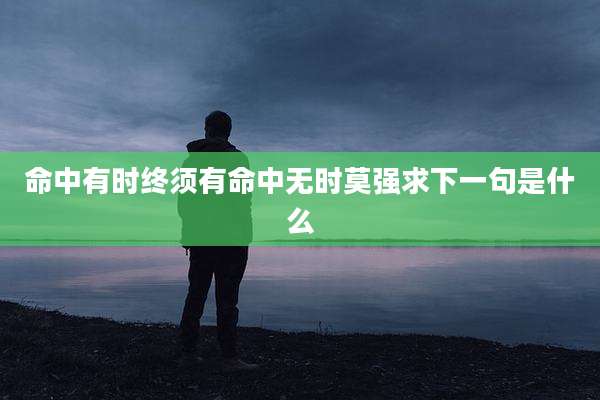 命中有时终须有命中无时莫强求下一句是什么