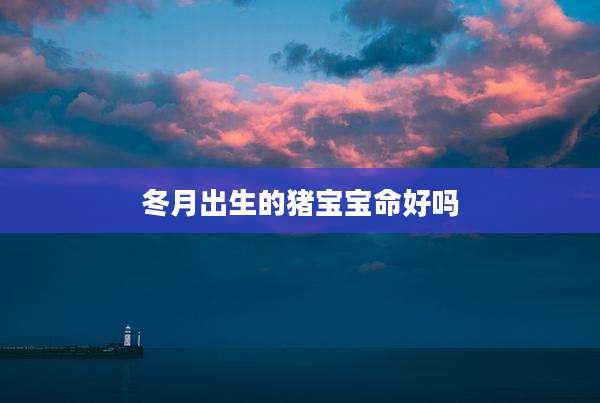 冬月出生的猪宝宝命好吗