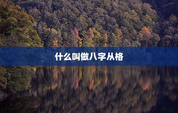 什么叫做八字从格