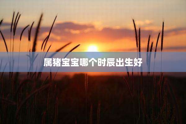 属猪宝宝哪个时辰出生好