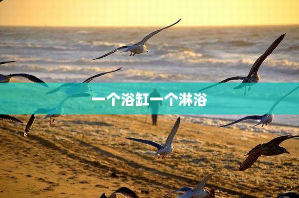 一个浴缸一个淋浴