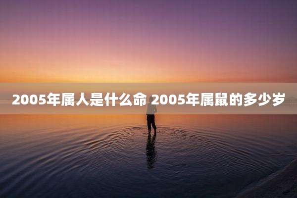 2005年属人是什么命 2005年属鼠的多少岁