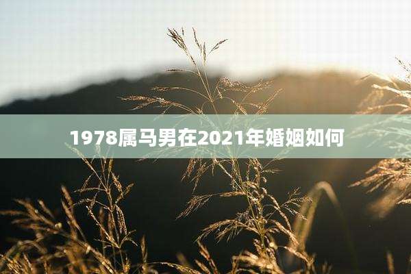 1978属马男在2021年婚姻如何