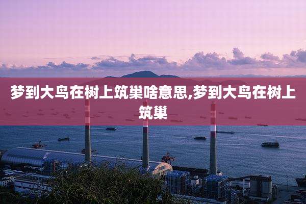 梦到大鸟在树上筑巢啥意思,梦到大鸟在树上筑巢
