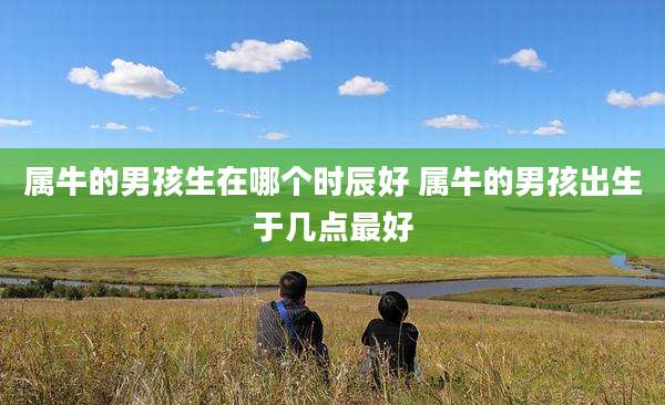 属牛的男孩生在哪个时辰好 属牛的男孩出生于几点最好